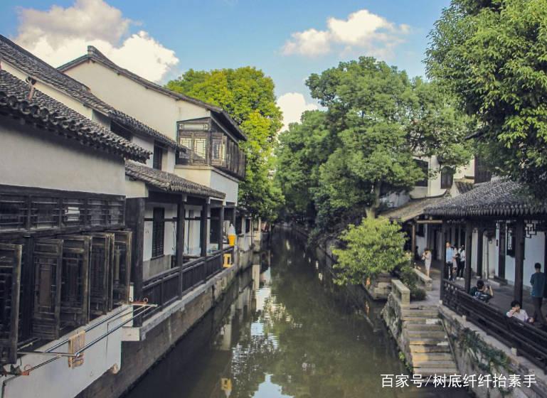 解救可爱的鸭子